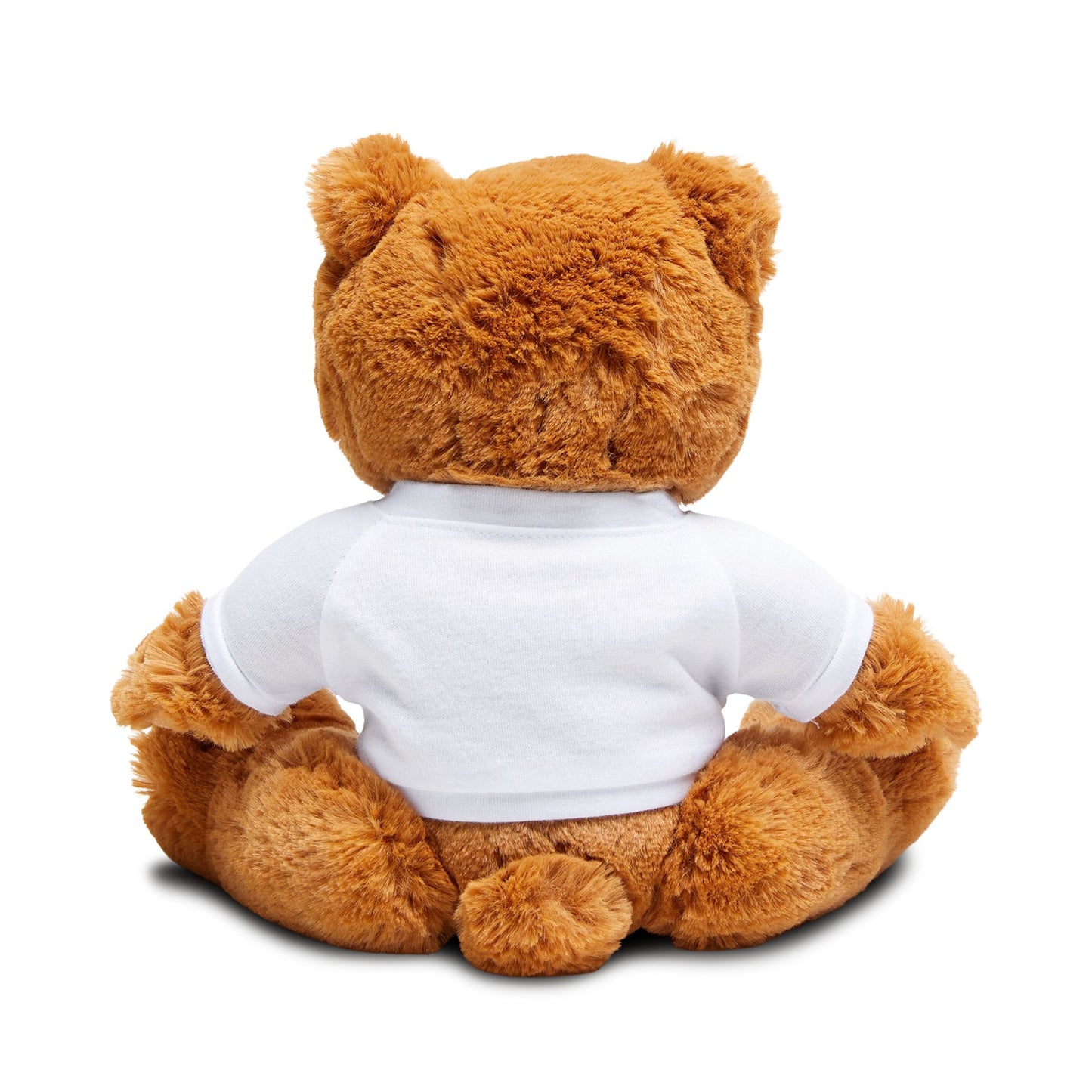 Pass the Aux Teddy Bear - Cute Plush Toy with T-Shirt for Music Lovers